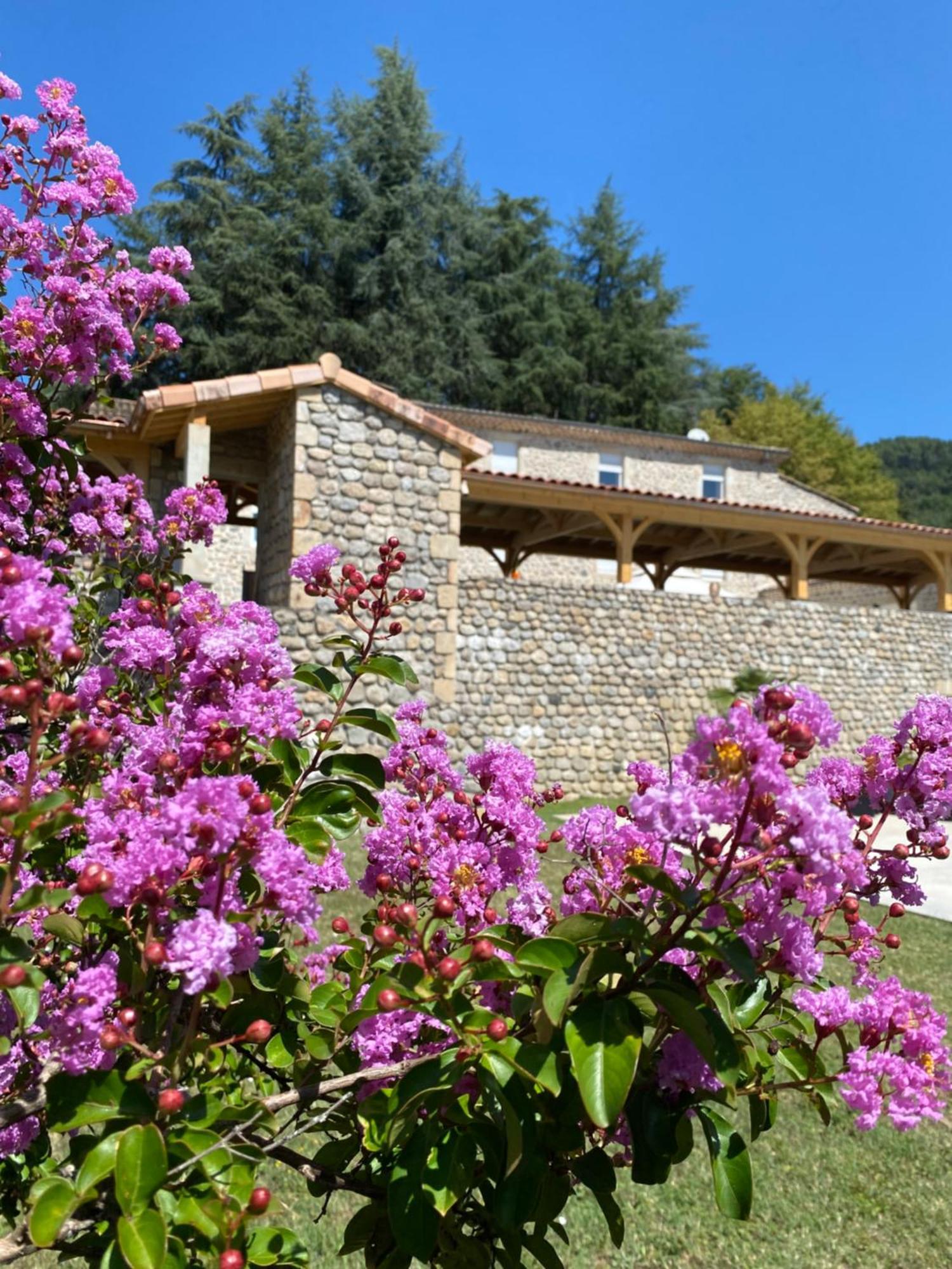 Bed and Breakfast Domaine Les Buis Saint-Fortunat-sur-Eyrieux Exteriér fotografie